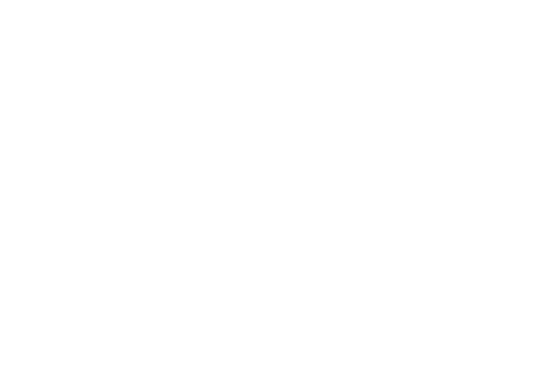 強さの秘密